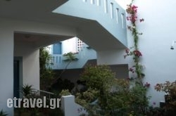 Hotel Kleopatra hollidays Hotel Kleopatra hollidays