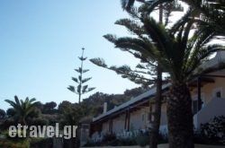 Joanna Studios hollidays Joanna Studios hollidays