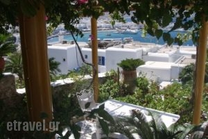 Seatinview Lodges_best prices_in_Apartment_Cyclades Islands_Mykonos_Mykonos Chora