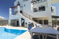 Olive Tree hollidays Olive Tree hollidays