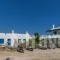 Anais_travel_packages_in_Cyclades Islands_Mykonos_Mykonos ora