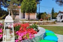 Casa Alegria hollidays