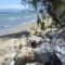 Summer House on the Sandy Beach_best deals_Hotel_Ionian Islands_Corfu_Corfu Rest Areas