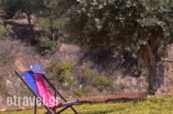 Villa Mitato Fodele hollidays Villa Mitato Fodele hollidays