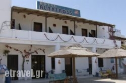 Albatross hollidays Albatross hollidays