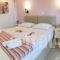 Gerani Studios_best prices_in_Hotel_Dodekanessos Islands_Astipalea_Astipalea Chora