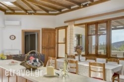 Naxostage hollidays Naxostage hollidays