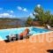 Eleni Adamou Apartments_holidays_in_Room_Sporades Islands_Skiathos_Skiathos Chora