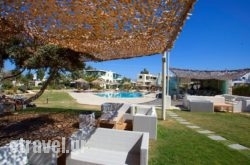 Angeliki Apartments hollidays