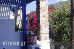 Antonia Studios hollidays