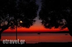 Hotel Paros hollidays