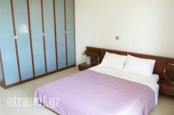 Sugar & Almond hollidays Sugar & Almond hollidays