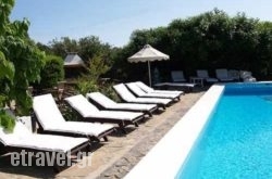 Cretan Village Agios Nikolaos hollidays