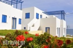 Ellibay hollidays Ellibay hollidays