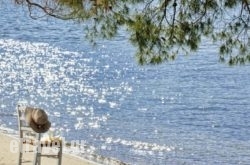 Xenia Poros Image Hotel hollidays