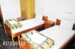 Platanos hollidays Platanos hollidays