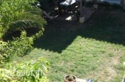 The New Mill hollidays The New Mill hollidays