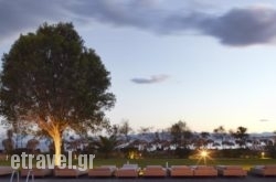 Skiathosincess hollidays