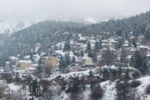 Enthymio Suites_lowest prices_in_Hotel_Peloponesse_Korinthia_Xilokastro