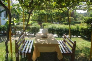 Giota_lowest prices_in_Hotel_Peloponesse_Ilia_Arkoudi