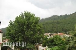 Studio Barbara hollidays Studio Barbara hollidays