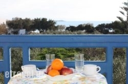 Mina'S Studios In Naxos Island hollidays Mina'S Studios In Naxos Island hollidays