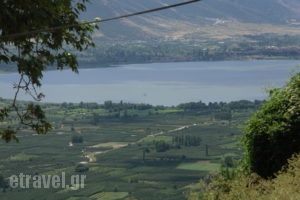 Nimbus Guesthouse_accommodation_in_Hotel_Macedonia_kastoria_Sidirochori