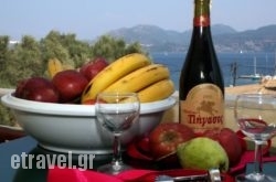 Hotel Pegasos hollidays Hotel Pegasos hollidays