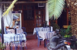 Olympic Holidays hollidays