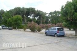 Municipal Camping of Alexandroupolis hollidays Municipal Camping of Alexandroupolis hollidays
