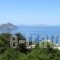 Amaranto Rooms_lowest prices_in_Room_Cyclades Islands_Amorgos_Aegiali