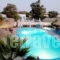 Marc Aggelos - Meteora Studios_best prices_in_Apartment_Cyclades Islands_Sandorini_Perissa