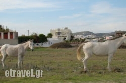 Marc Aggelos - Meteora Studios hollidays Marc Aggelos - Meteora Studios hollidays