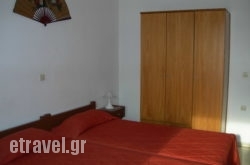 Olga hollidays Olga hollidays