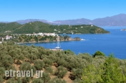 Gea Villas Skiathos hollidays Gea Villas Skiathos hollidays