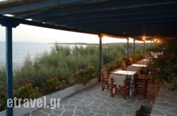 Julia hollidays Julia hollidays