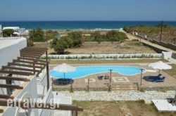 Paravatos studios hollidays