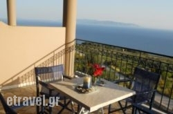 Regina hollidays Regina hollidays