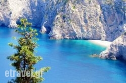 Suites and the City hollidays