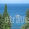 Andromaches Holiday Apartments_travel_packages_in_Ionian Islands_Corfu_Gastouri