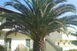 Dream House hollidays Dream House hollidays