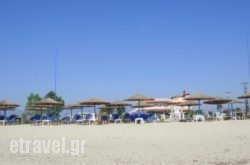 Artemis hollidays Artemis hollidays