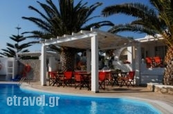 Villa Mina hollidays Villa Mina hollidays