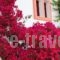 Villa Elizea_best prices_in_Villa_Crete_Chania_Agia Marina