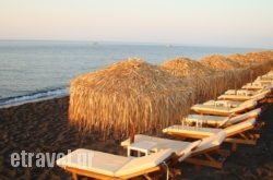 Rivas hollidays Rivas hollidays