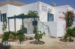 Willy Studios hollidays