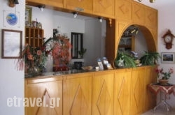 Amaryllis hollidays Amaryllis hollidays