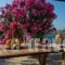 Agios Pavlos Studios_best prices_in_Hotel_Cyclades Islands_Amorgos_Amorgos Chora