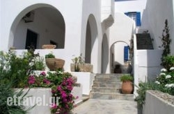 Popy hollidays Popy hollidays