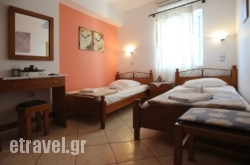 Virginia Studios hollidays